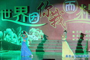 昌邑一中2015年元旦文藝晚會策劃 世界因你我而精彩